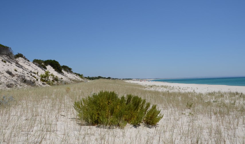 Vue de la plage