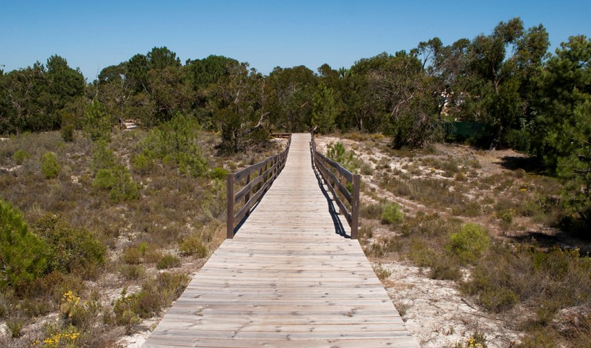 Eco-Resort walkway