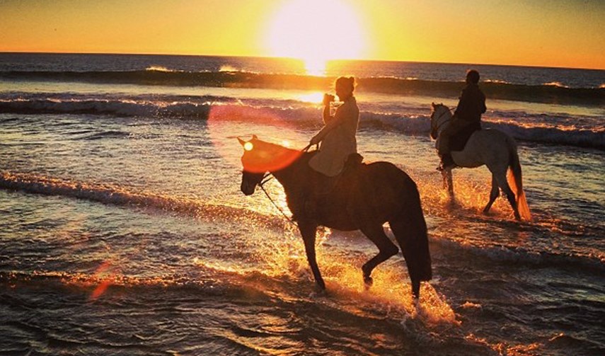 Equitation dans la plage